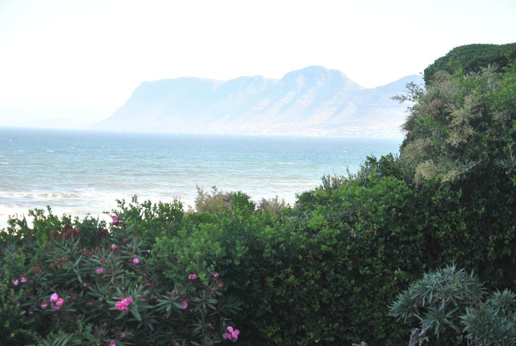 Seaview Apartment In Muizenberg Extérieur photo